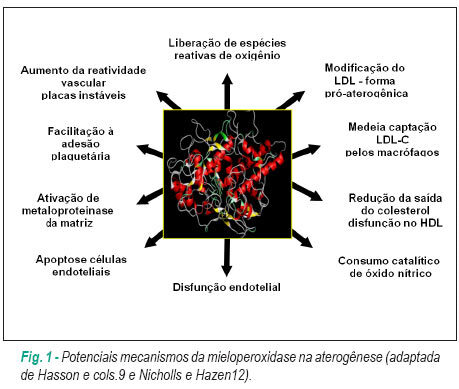 Imagem 1 da galeria
