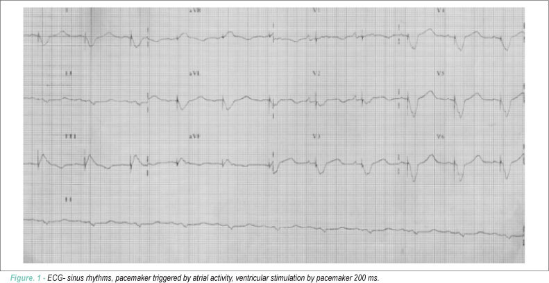 Case 5/2008: 44-year-old male patient that died of cardiogenic shock on the 6th postoperative day asfter orthotopic heart transplant