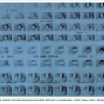 Imagem 3 da galeria