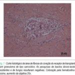 Imagem 7 da galeria