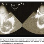 Imagem 2 da galeria