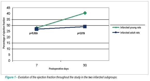 Echocardiographic assessment of myocardial infarction evolution in young and adult rats