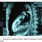 Imagem 1 da galeria
