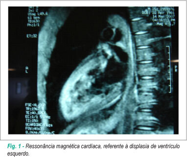 Imagem 1 da galeria