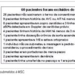Imagem 1 da galeria