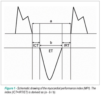 chocardiography and 6-minute walk test in left ventricular systolic dysfunction
