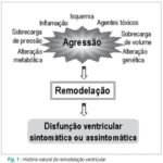 Imagem 1 da galeria