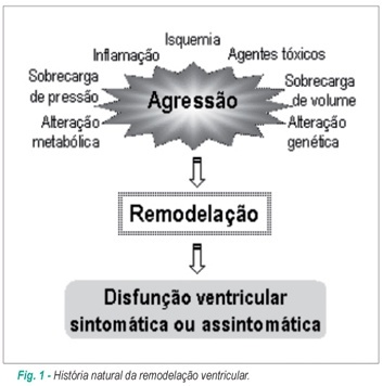 Imagem 1 da galeria