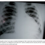 Imagem 1 da galeria