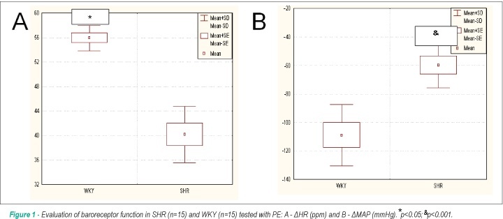Evaluation of baroreflex function in young spontaneously hypertensive rats