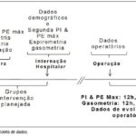 Imagem 1 da galeria