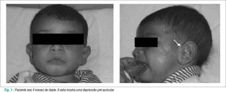 Imagem 1 da galeria