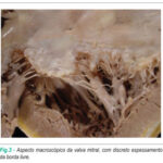 Imagem 3 da galeria