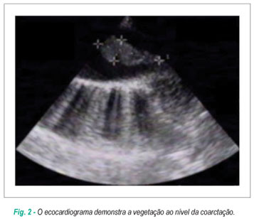 Imagem 2 da galeria