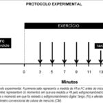 Imagem 1 da galeria