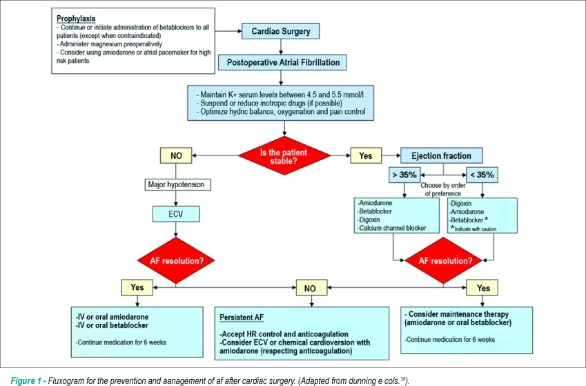 Postoperative atrial fibrillation after cardiac surgery