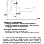 Imagem 1 da galeria