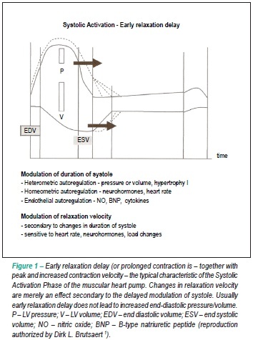Heart failure with normal ejection fraction: new diagnostic criteria and pathophysiological advances