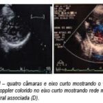 Imagem 1 da galeria