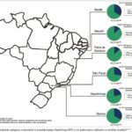 Imagem 4 da galeria