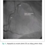 Imagem 4 da galeria