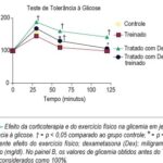 Imagem 2 da galeria
