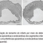 Imagem 2 da galeria