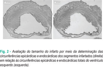 Imagem 2 da galeria