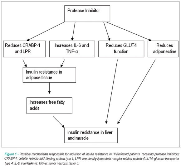 Metabolic abnormalities, antiretroviral therapy and cardiovascular disease in elderly patients with HIV