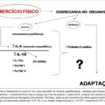 Imagem 2 da galeria