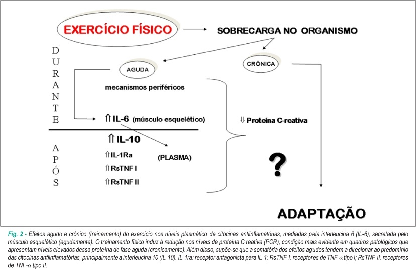 Imagem 2 da galeria