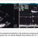 Imagem 2 da galeria