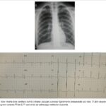Imagem 1 da galeria