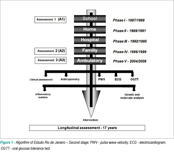 Overweight and cardiovascular risk among young adults followed-up for 17 years: the Rio de Janeiro study, Brazil