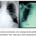 Imagem 2 da galeria