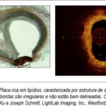 Imagem 1 da galeria