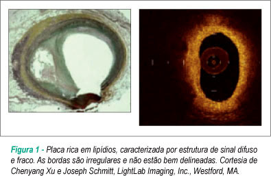 Imagem 1 da galeria