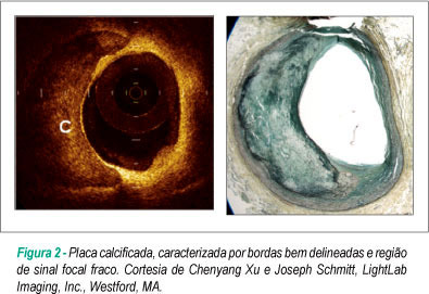 Imagem 2 da galeria