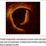 Imagem 4 da galeria