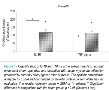 Changes in the production of IL-10 and TNF-α in skeletal muscle of rats with heart failure secondary to acute myocardial infarction