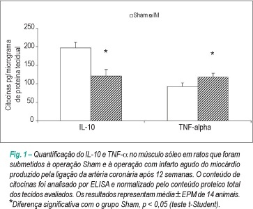 Alterações na produção de IL-10 e TNF-α no músculo esquelético em ratos com insuficiência cardíaca secundária ao infarto do miocárdio