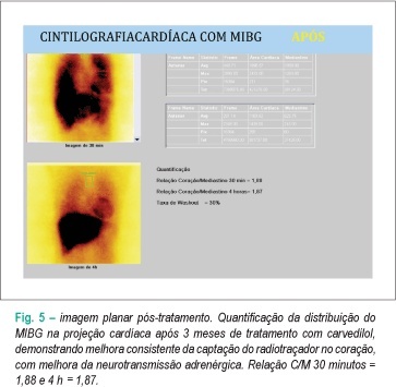 Imagem 5 da galeria