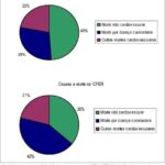 Imagem 2 da galeria