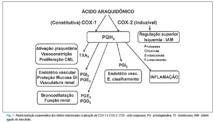 Imagem 1 da galeria