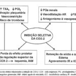 Imagem 3 da galeria