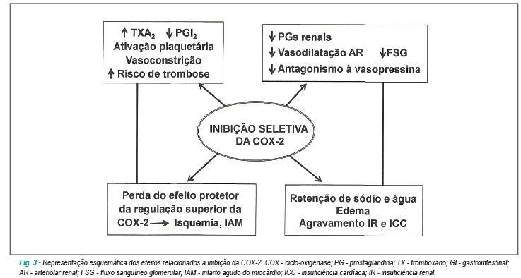 Imagem 3 da galeria