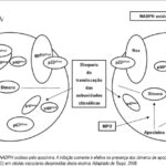 Imagem 3 da galeria