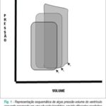 Imagem 1 da galeria