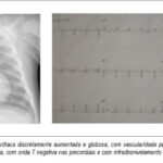Imagem 1 da galeria
