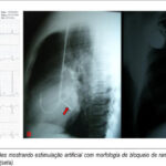 Imagem 2 da galeria